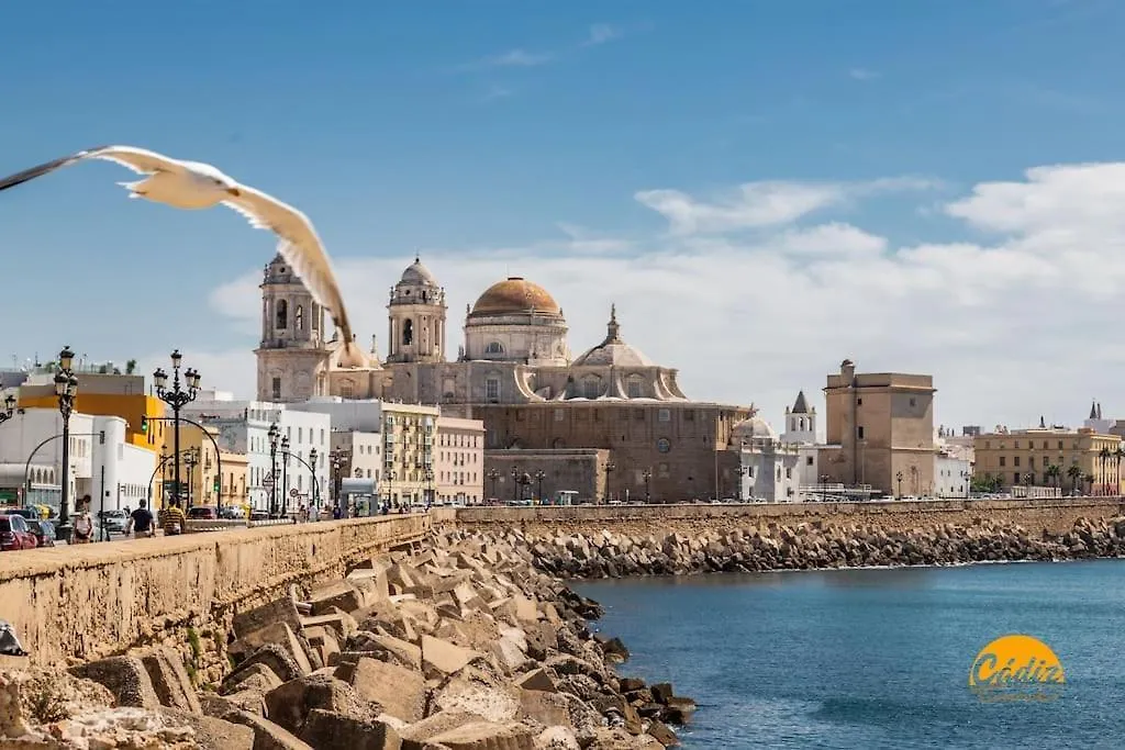 Los Claveles By Cadiz Time